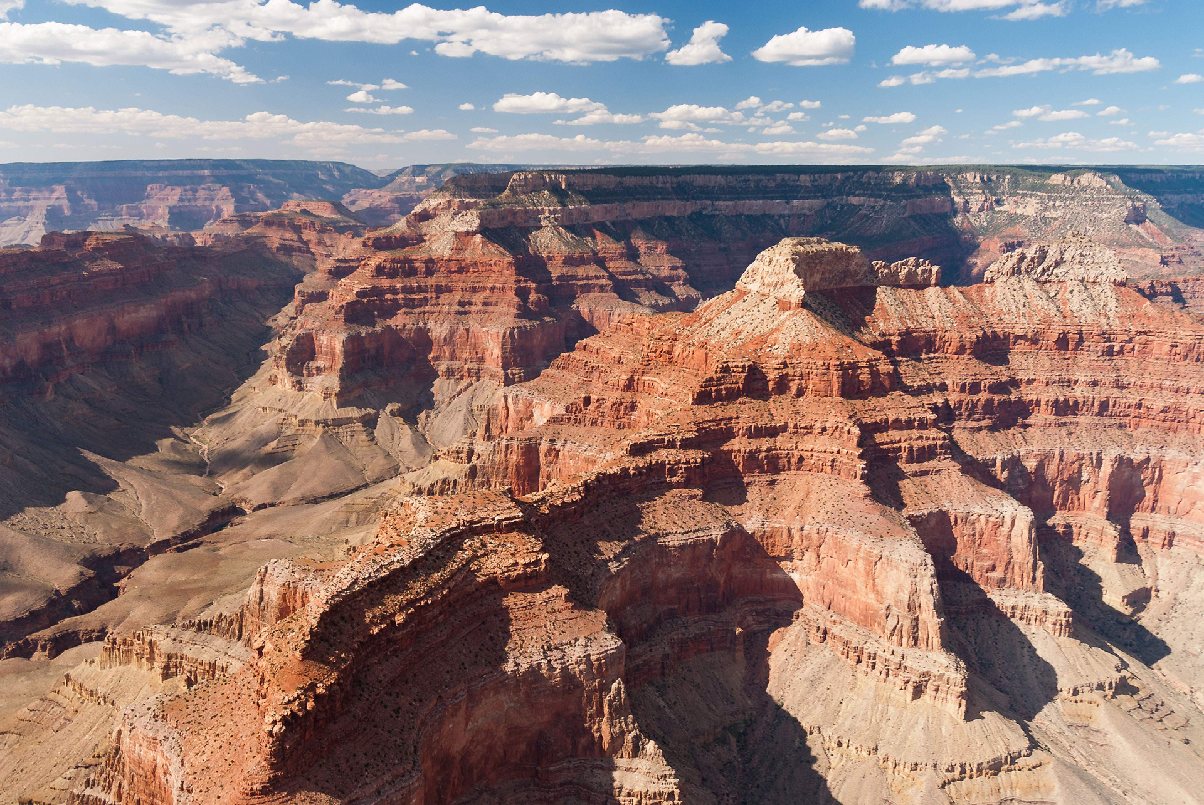 School Choice Arizona